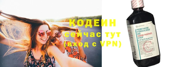 прущие грибы Балахна
