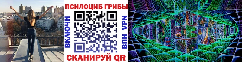 Псилоцибиновые грибы Psilocybe  наркотики  Верея 